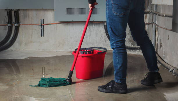 Water damage restoration experts in Sun Village, CA
