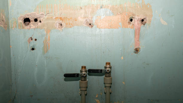 Best Ceiling water damage repair  in Sun Village, CA