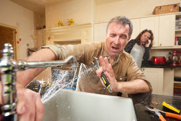 Best Mold removal after water damage  in Sun Village, CA